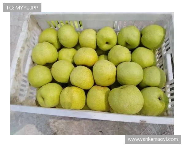 畅享皇冠手机版登录地址，教你如何快速找到入口