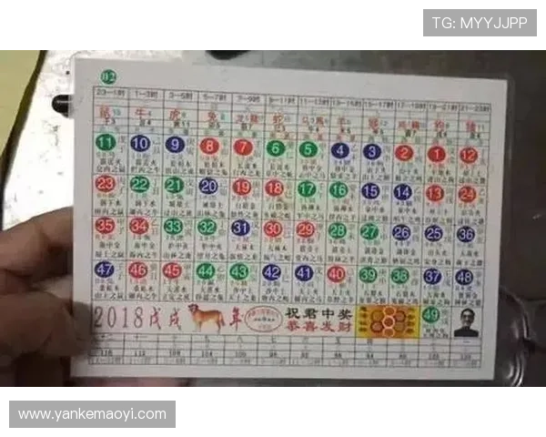 六合彩体育投注技巧全攻略帮助新手快速入门实现稳步盈利目标